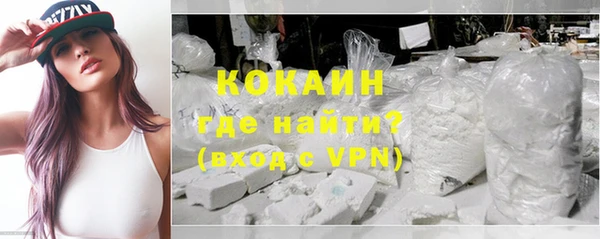 прущие грибы Богородск
