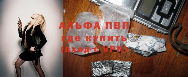 прущие грибы Богородск