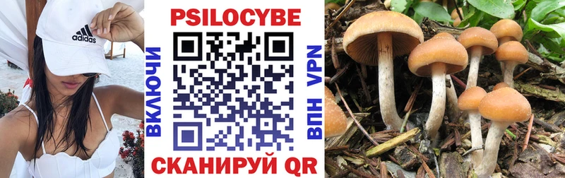 мориарти как зайти  закладка  Бузулук  Псилоцибиновые грибы Cubensis 